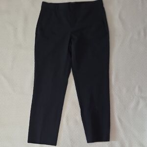 Banana Republic Navy Dress Pants